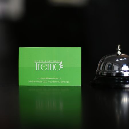 Hotel Boutique Tremo Bellavista Santiago de Chile Zewnętrze zdjęcie