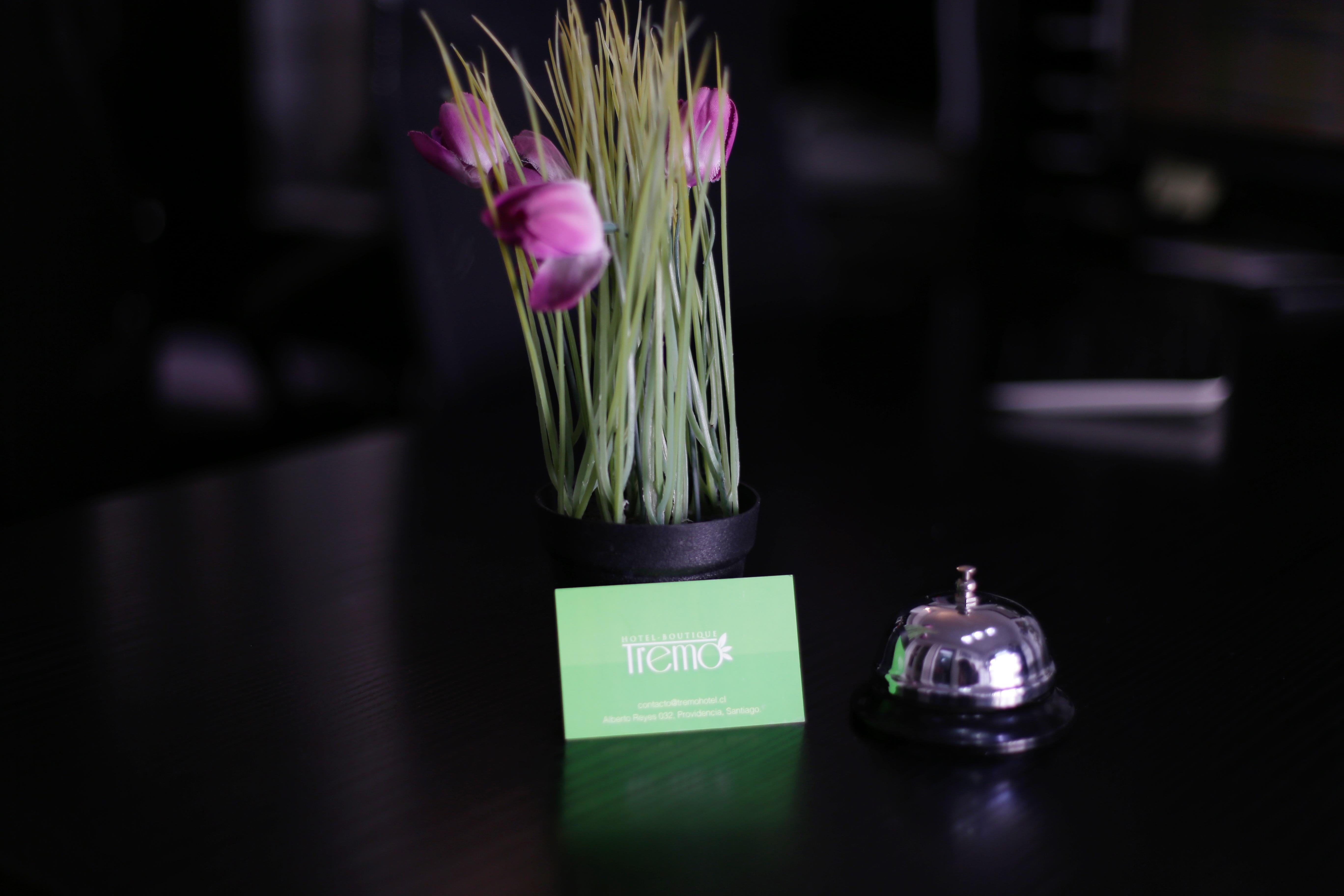 Hotel Boutique Tremo Bellavista Santiago de Chile Zewnętrze zdjęcie