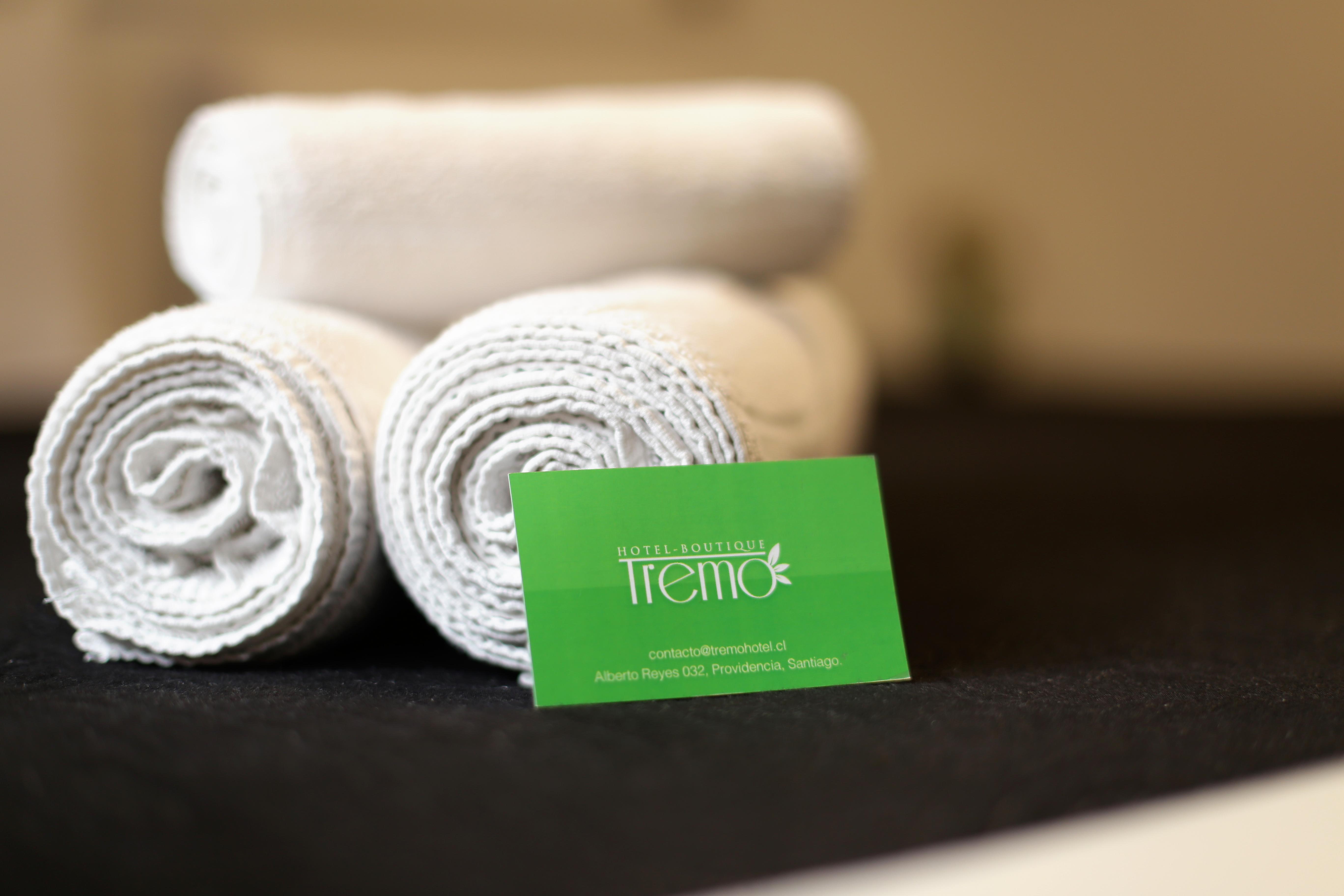 Hotel Boutique Tremo Bellavista Santiago de Chile Zewnętrze zdjęcie