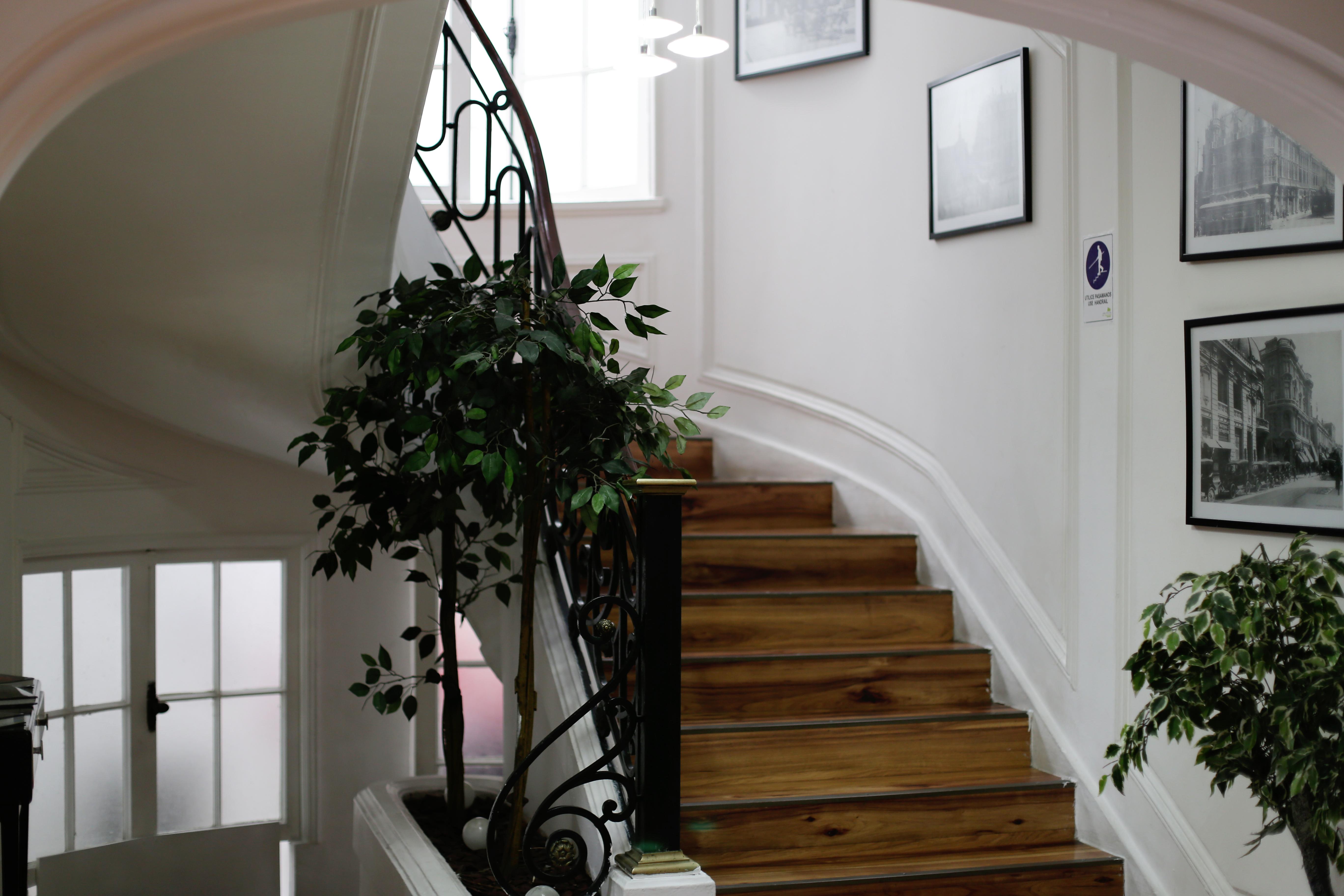 Hotel Boutique Tremo Bellavista Santiago de Chile Zewnętrze zdjęcie